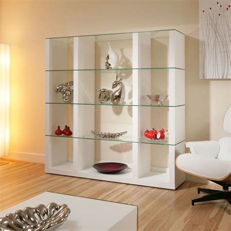 Modern & Contemporary Modern Display Cabinet 